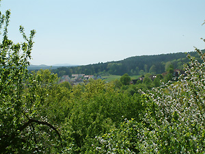 Blick über den Obstgarten auf Absberg
